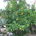 호텔 La Pergola 아멜리에레방팔랄다